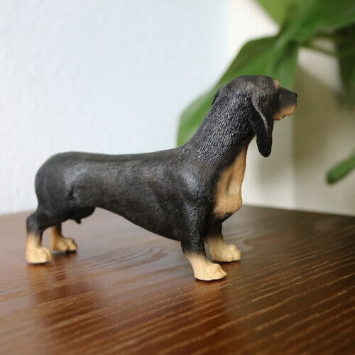 JJM-figura de perro Dachshund Dackel Teckel, coleccionista de mascotas, decoración de coche, Animal de juguete, modelo educativo de PVC para niños, adultos y niños,