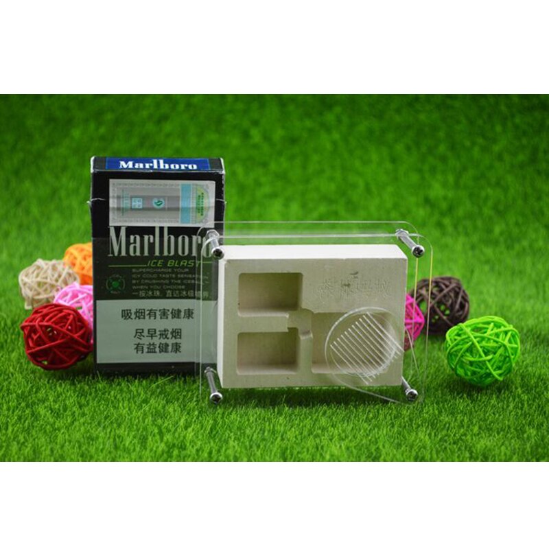 Mała farma mrówek willa akrylowe gniazdo gipsowe małe społeczności mini gniazdo mrówek owadów