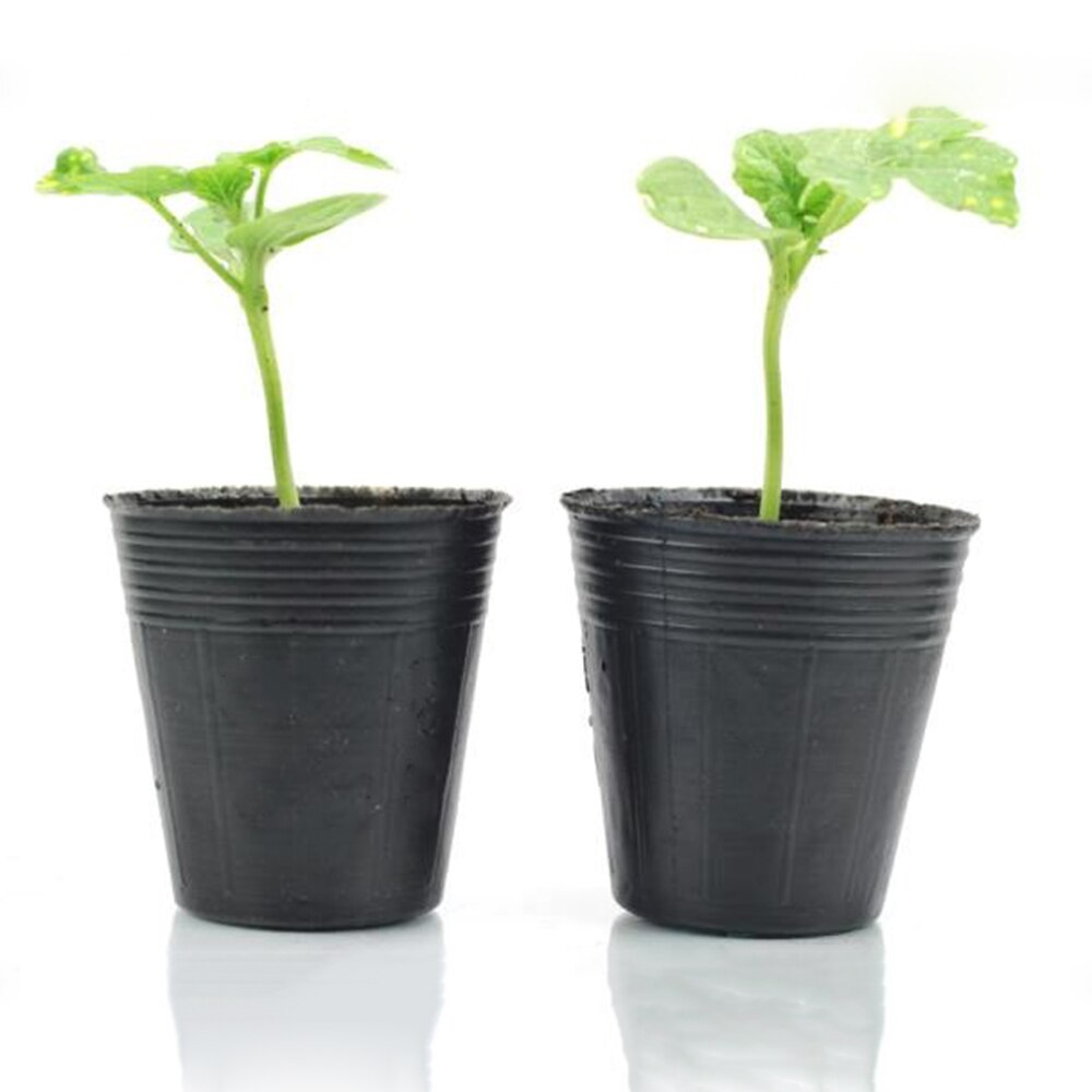 200pcs Nursery Plastic In Nursery Planters Not Coated Box Garden Propagation Container Grow Bag Garden Supplies