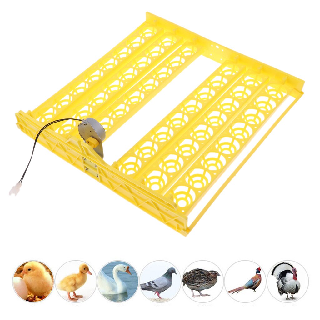 Automatic Egg Incubator 56 Eggs Turner Tray Chicken Quail Duck With 110V