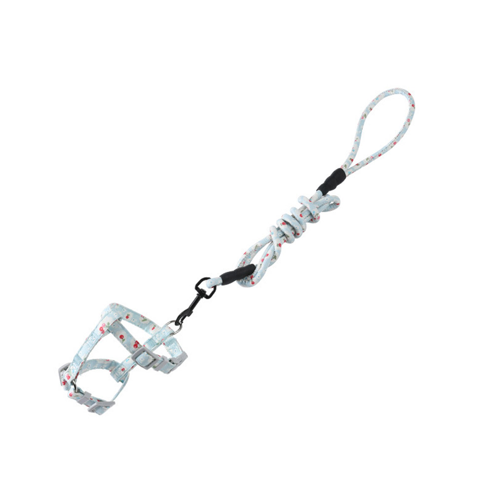 Harnais pour chat, laisse, ceinture, collier, sangle en forme de I, corde de guidage pour chiot, chaton, chiot, marche en plein air: S-Sky Blue