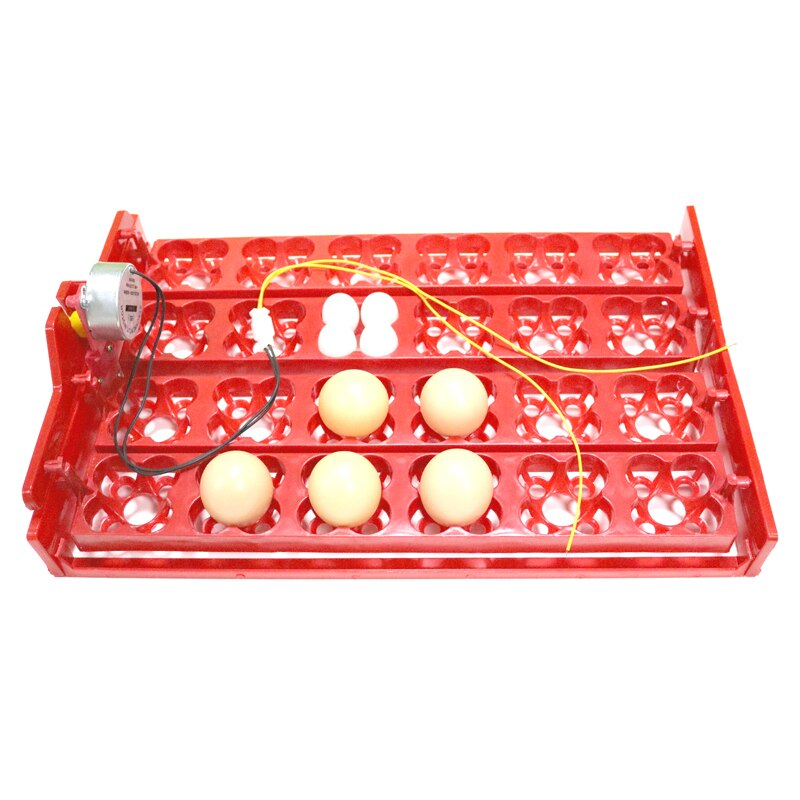 Incubadora para aves 96 huevos, bandeja automática de 24 huevos, herramienta de incubación de codornices de loros, tamaño 43*28 cm