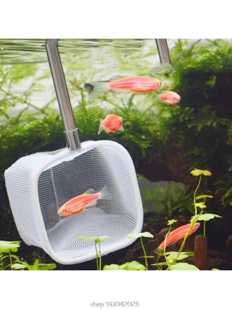Retractable In Fish Aquarium Retractable 3D Stainless Steel Fishnet Po... – Grandado