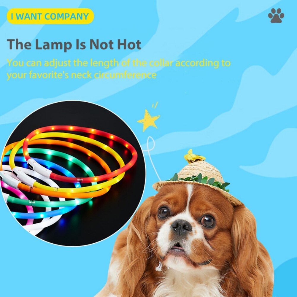Pet Dog LED Collar USB Rechargeable Luminous Flashing Collar Pet Necklace Outdoor Glowing Walking Night Safety Accessories