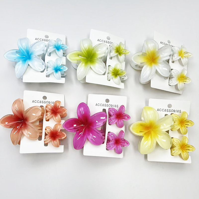 3 pièces/ensemble fleur douce dégradé coloré griffes de cheveux queue de cheval Cip pince Barrettes épingles à cheveux pour femmes fille plage cheveux accessoires