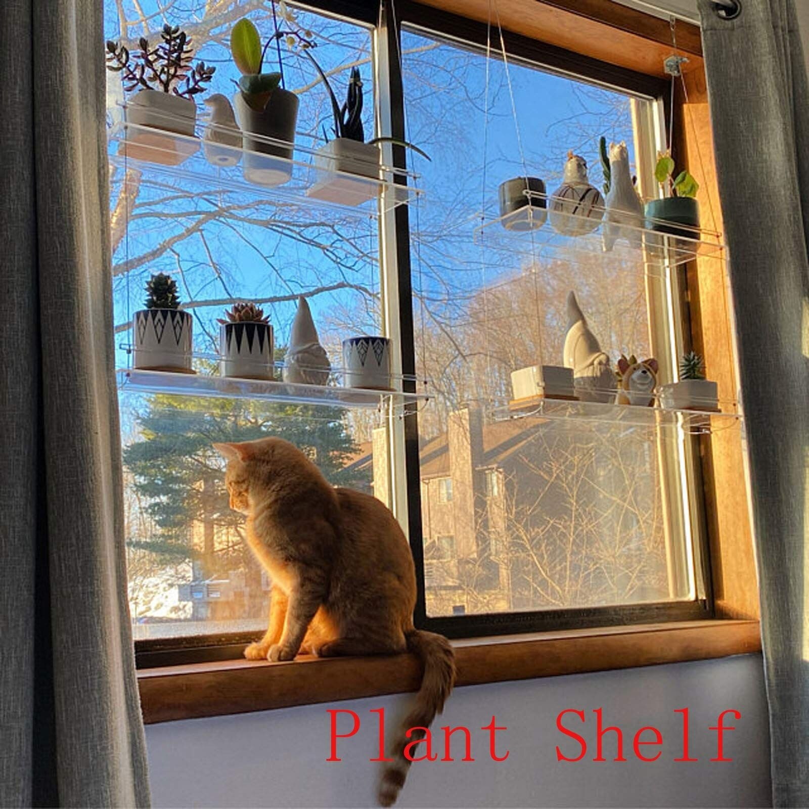 Window Plant Flower Pot Vase Rack Holder Hanger Flower Pot Storage Rack Shelf Transparent Acrylic Garden Hanging Flower Holder