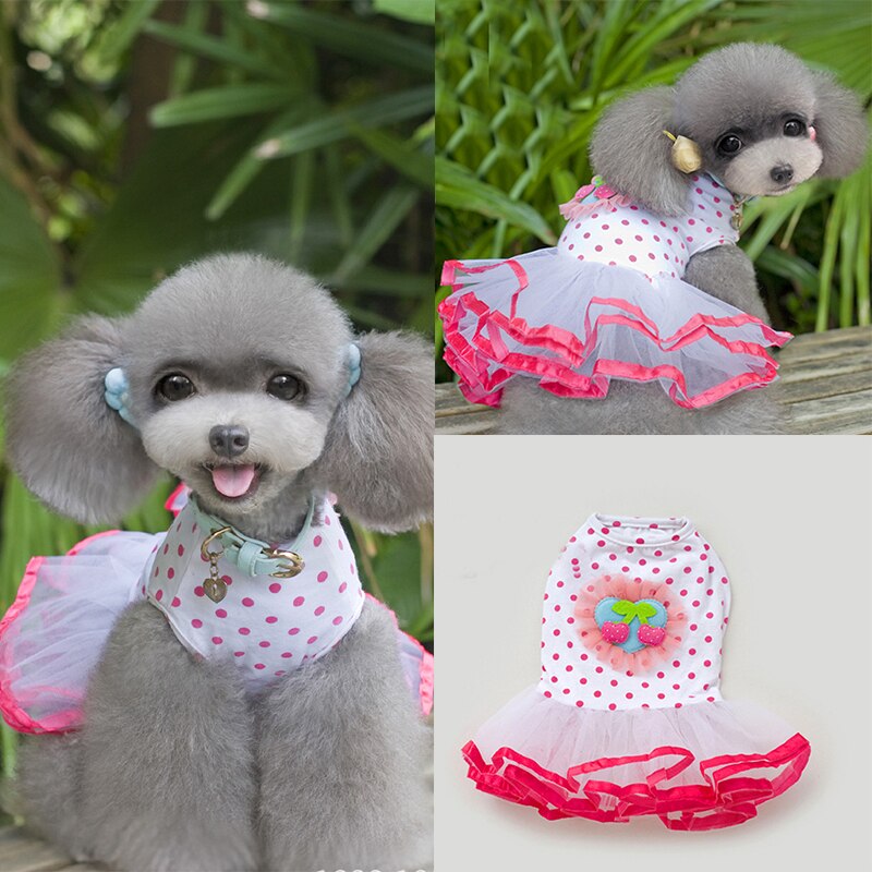 Chien cerise motif Style jupe gonflée chiot dentelle robe coton et maille matériel décontracté confortable Simple vêtements pour animaux de compagnie
