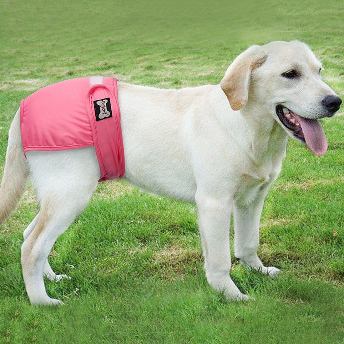 Dog Diapers Female Dog Shorts Breathable Physiological Pants Female Diaper Dog Sanitary Pants Underwear Briefs for Dogs