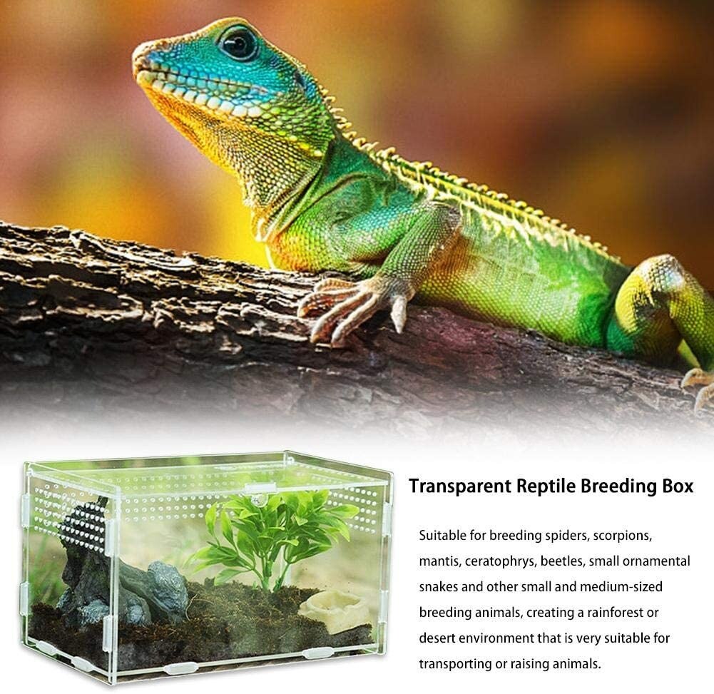 Reptile Breeding Box Acrylic Transparent Spider Lizard Scorpion Enti's Acrylic Assembled Insect Breathable Terrarium