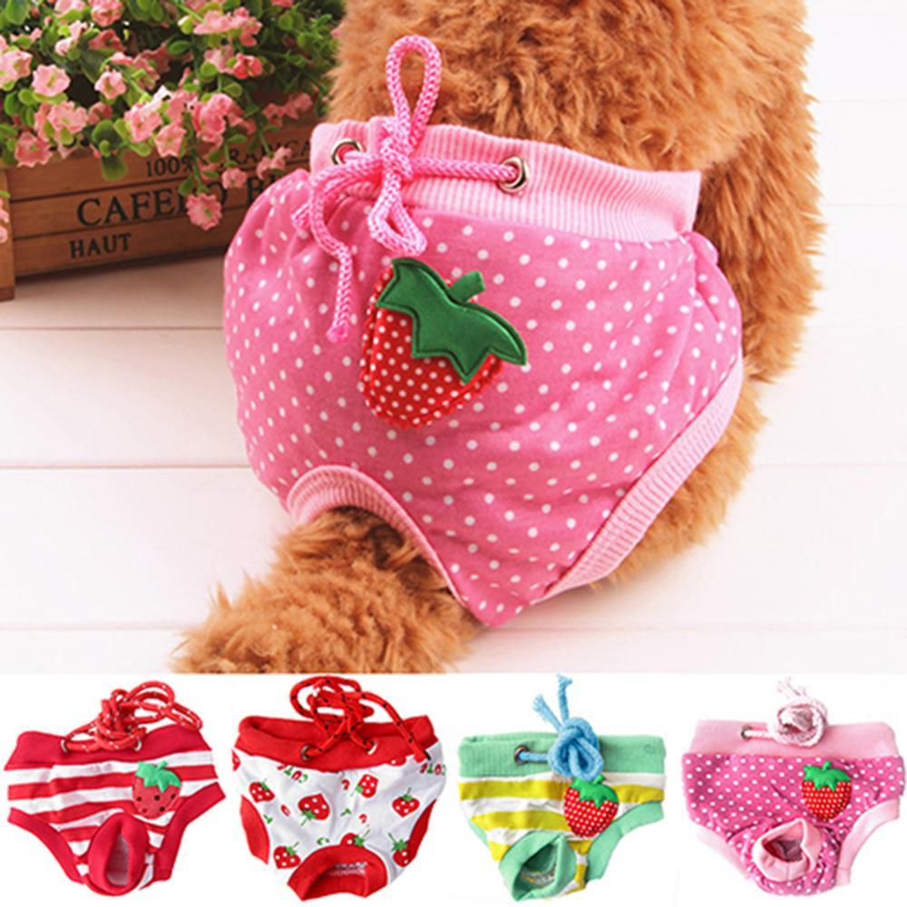 Hond Shorts Sanitair Fysiologische Broek Leuke Fruit Print Luier Hond Luier Broek Sanitair Korte Panty Nappy M/L/Xl