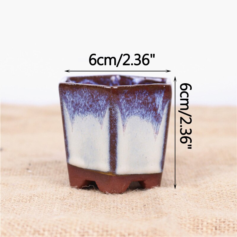 Ceramic Succulent Flower Pot Polygonal Purple Clay Pot Simple Home Garden Bonsai Pot Thumb Basin: C