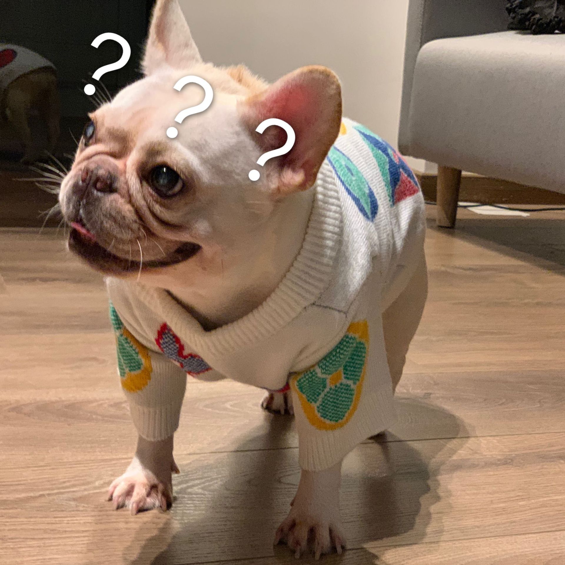Ropa perro de lujo para pequeños perros mediano ropa linda para gatos producto del animal doméstico del perro ropa de perro Chihuahua, Pitbull, perro Accesorios