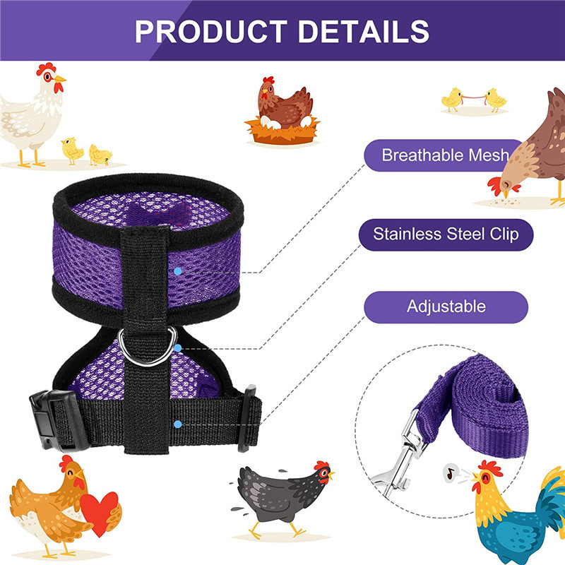 Gilet à la pour poulet et canard, ceinture pour poule, harnais pour animaux de compagnie, colliers assortis avec nœud, laisse confortable, respirant, fournitures pour volaille