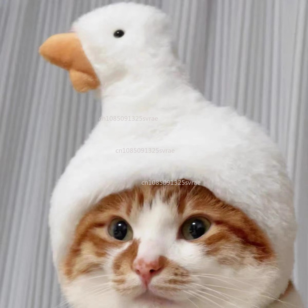 Gorro de gato refinado bonito, gorro elástico de felpa para invierno para mascotas, gorro tejido para cachorros y gatitos, accesorios de decoración para y Cosplay, accesorios para gatos para mascotas