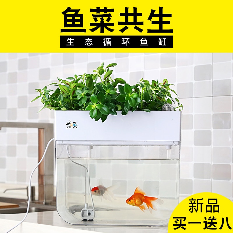 View of Water-free Ecological Goldfish Tank Living Room Ho... – Vicedeal