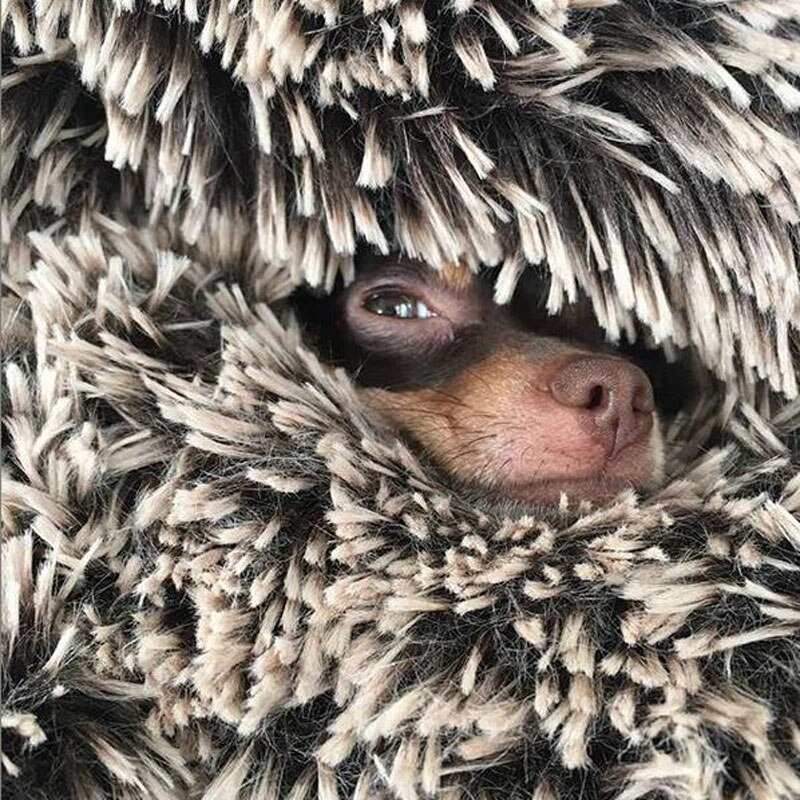 Afneembare ronde hondenmand donut knuffel rond kussen huisdiermand zelfverwarmende en gezellige huisdiermanden met rits en ondersteunende bodem