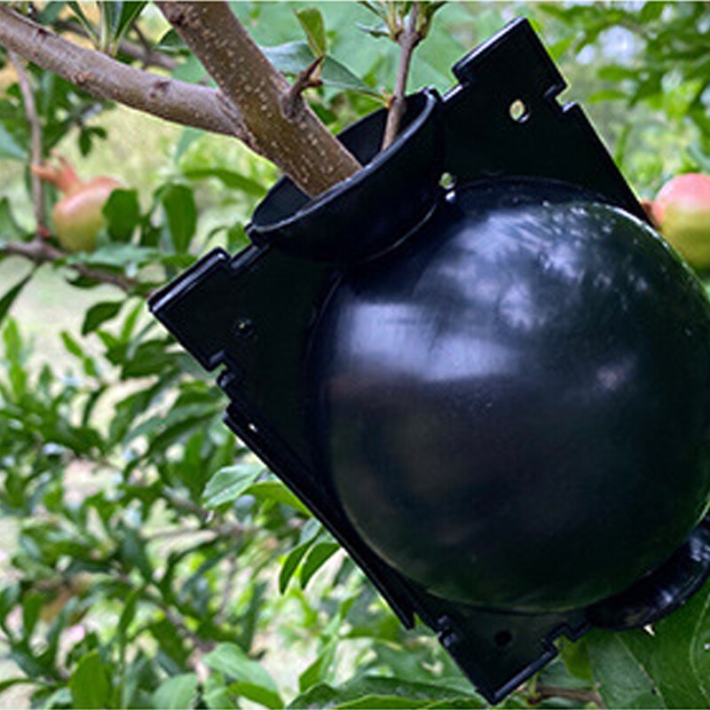 Boîte de culture pour racines de plantes, 5 pièces, boîte de culture pour racines de plantes de jardin