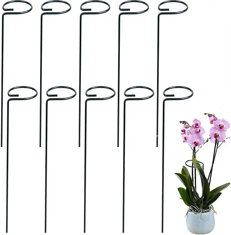 Estacas de soporte para plantas de 40cm, 5/10/15 Uds., estaca de tallo único para jardín, anillos de jaula Amaryllis para tomates, orquídeas, lirio, peonía, rosa y flor: Blanco