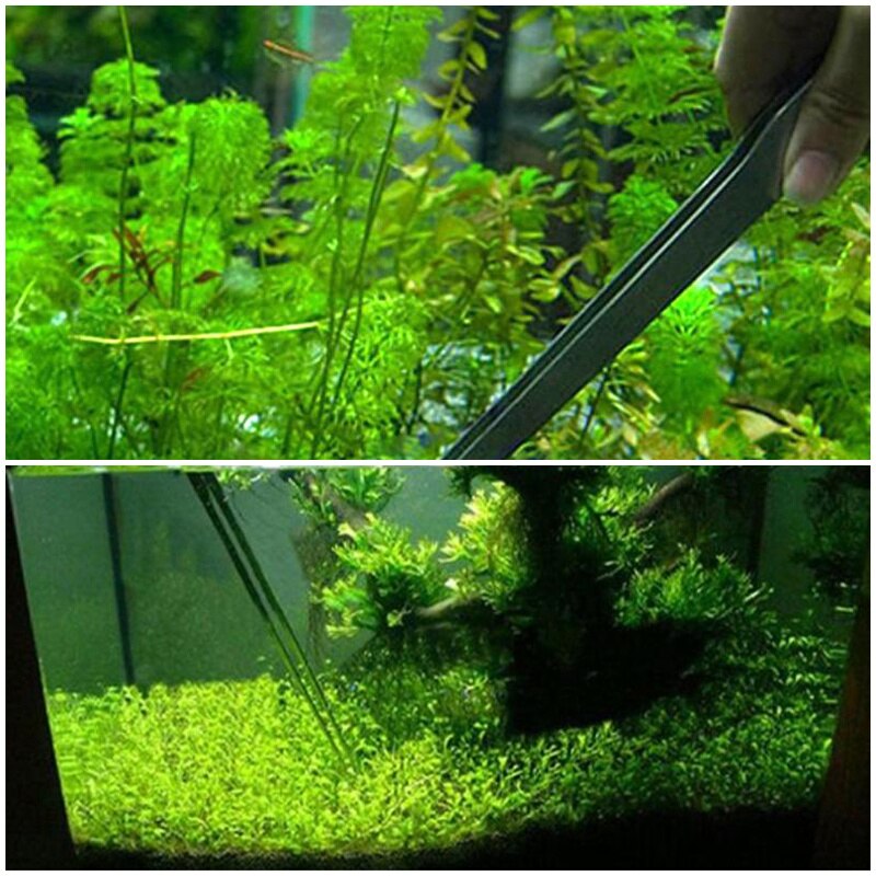 Aquarium Accessoires Gebogen Aquarium Pincet Aquarium Plant Garnalen Reef Pincet Aquarium Cleaner Rvs