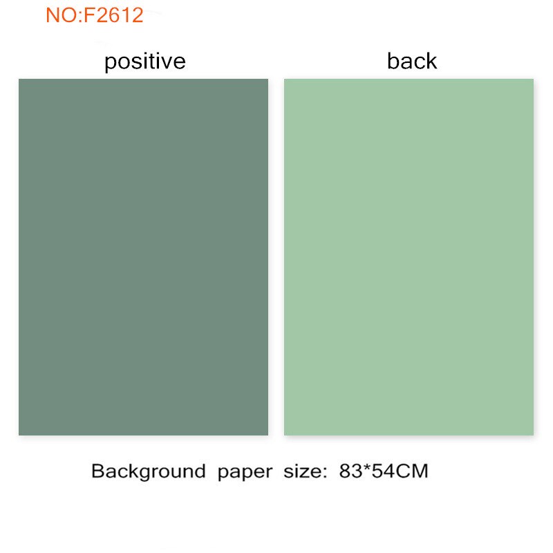 Morandi couleur Double face tir fond tissu couleur Pure fond papier ins vent NetRed décoration photographie accessoires: F2612