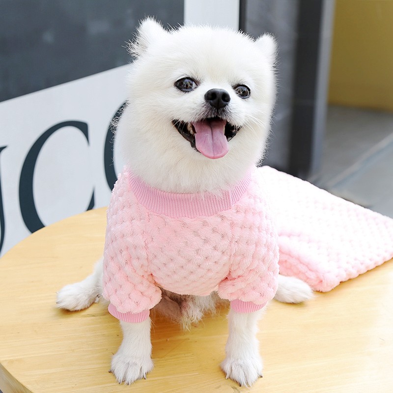 Vêtements pour chiens de compagnie hiver chien sweats à capuche doux chiot pull mignon ours imprimé chat sweat Chihuahua vêtements sweat à capuche pour animaux de compagnie