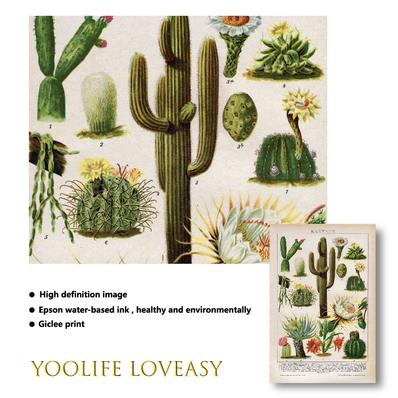 SHINERING Aquarelle Toile Mur Art Plantes De La Forêt Tropicale Plantes Oiseau Peinture Feuilles Tropicales Mur Photos Décoration De La Maison No Frame (35 * 50cm*3 Framed