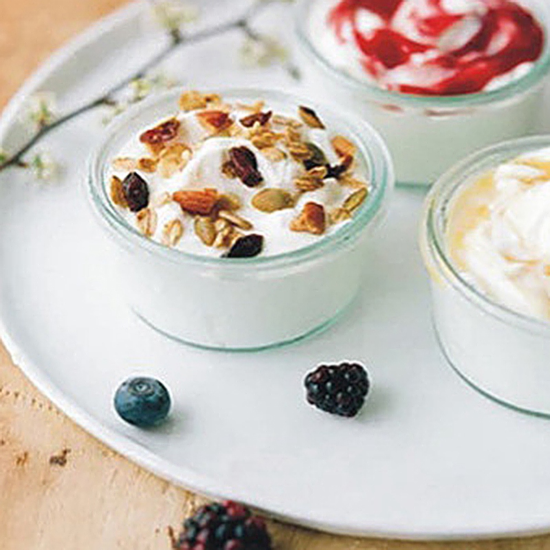 Elektrische Automatische Yoghurt Maker Machine Yoghurt Diy Tool Plastic Container Keuken Apparaat Eu Plug