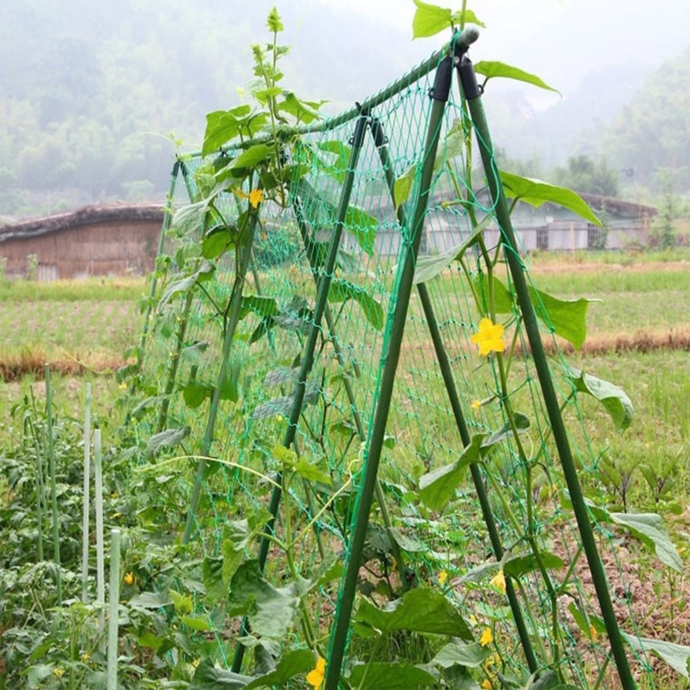 Fruit Vegetable Flower Vine Plants Climbing Net Garden Cucumber Trellis Netting Plant Support & Care