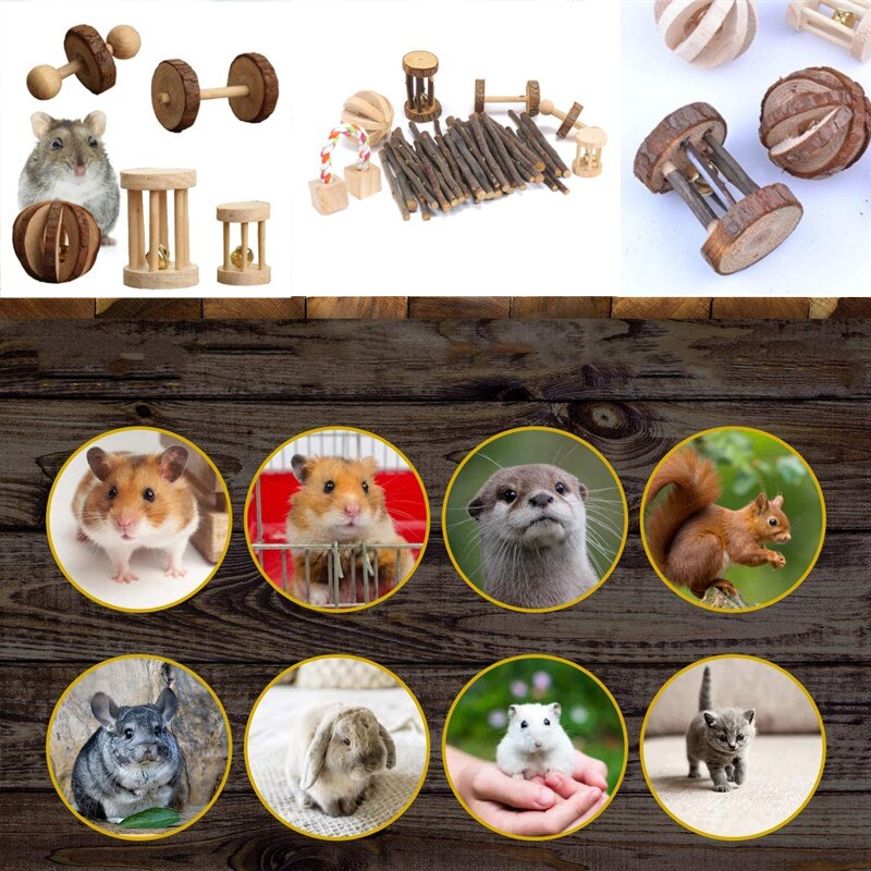 10PCS Hamster Chew Toy Set,Rat Toys Natural Pine Wood,Gerbil,Hamster,Chinchilla&#39;s Favorite Chewing Toy,Toys Accessories