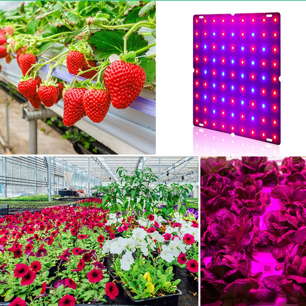 ledet plantevekstlys 265v plantelys 2835 lampekuler kvantetavlevekstbelysning fullt spektrum hydroponisk plantelys