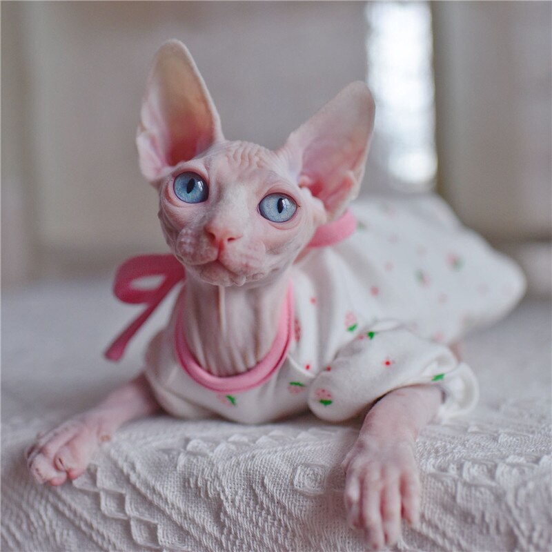 Sphynx gatto vestito fiore carino fragola maniche a sbuffo abiti per gatti senza peli vestiti per gatti gonna senza maniche sottile estiva