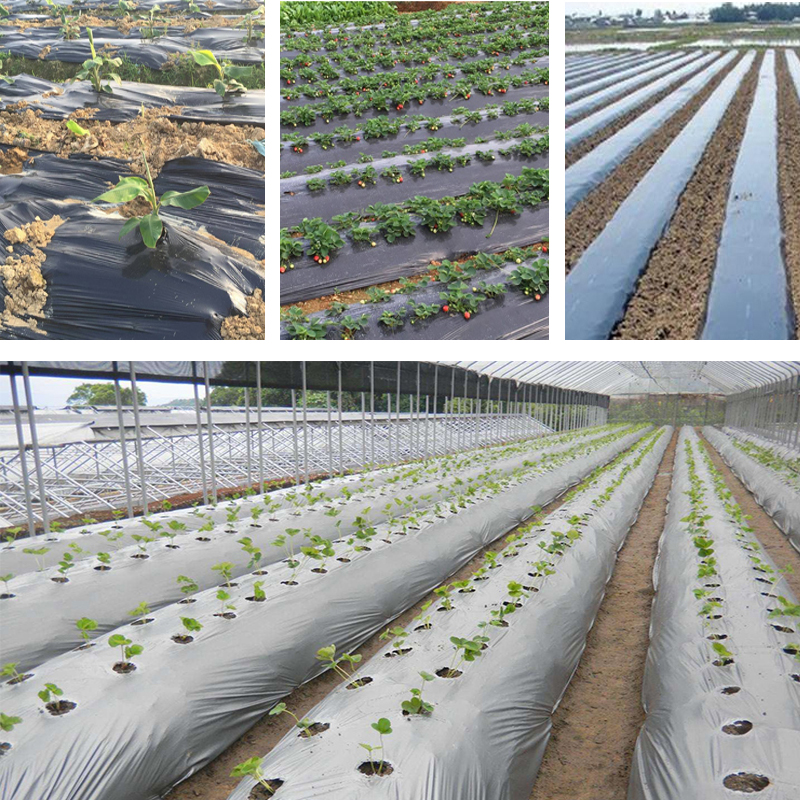 5~30M Thickness 0.012mm Agricultur Silvery Black Reflective Plastic Mulch Film Greenhouse Plant Seedlings Heat Preservation Film
