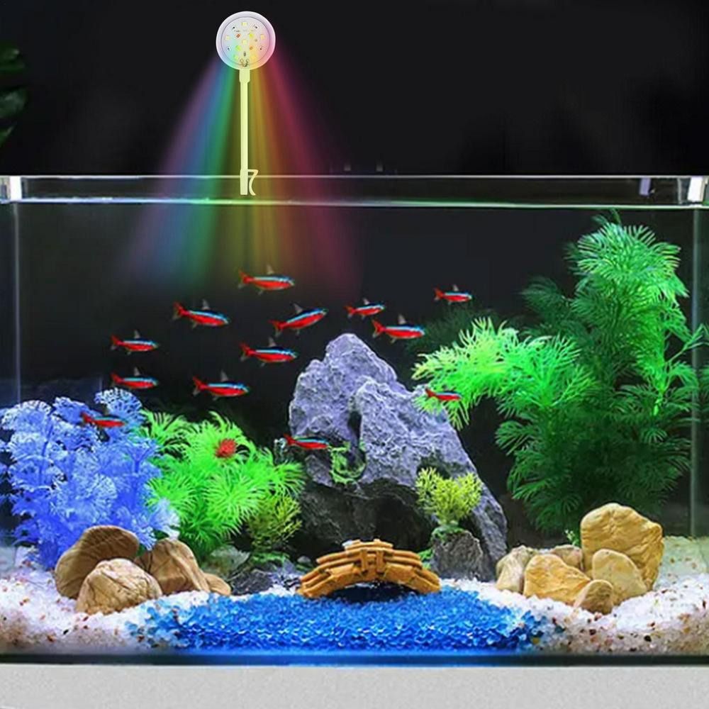 LED-aquariumlamp USB-stekker met clip Aquariumplantenlicht Energiebesparende gekleurde lichten Aquariumlamp Schildpadtank