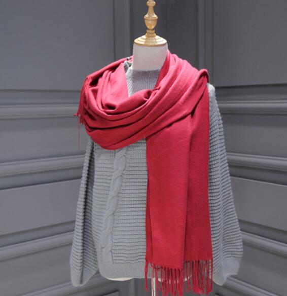 Winter Women Scarf Solid double-side Soft Cashmere Scarves Shawl And Wraps Bandana Female Foulard Tassel: color 4