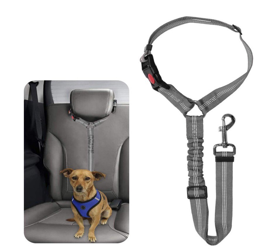 Dog Harness Seat Belt Pet Auto Veiligheidsgordel Verstelbare Puppy Veiligheid Seat Belt Reflecterende Elastische Bungee Sluit Harnas Hond: 05