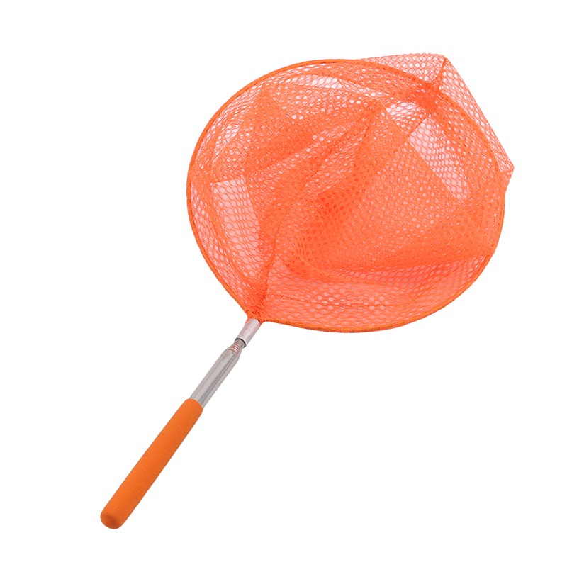 Rete da pesca in acciaio inossidabile Reti da pesca Tasca per pesci Rete da immersione Pali da pesca con asta telescopica Testa di rete Fornitura di attrezzi da pesca: Rosso