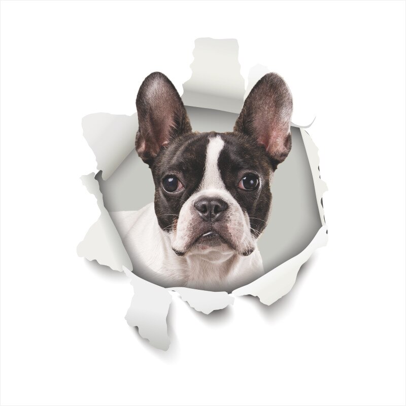 Leuke Hond Kat 3d Gebroken Gat Wc Stickers Voor Wasruimte Huis Decoratie Diy Ainimals Muurschilderingen Cartoon Puppy Kitten Kids decal: GTP024AE