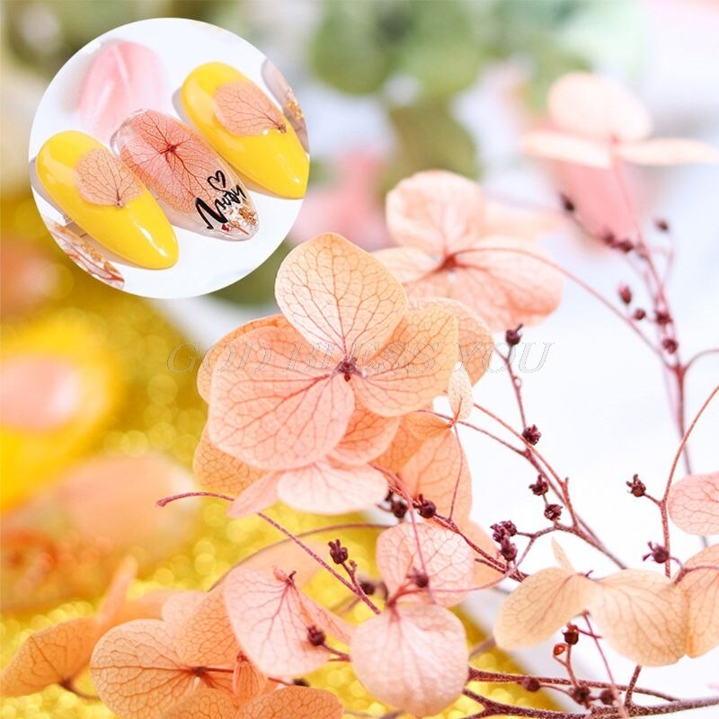 Dried Flowers DIY Epoxy Resin Handmade Crafts Filling Materials DIY Handmade Accessories
