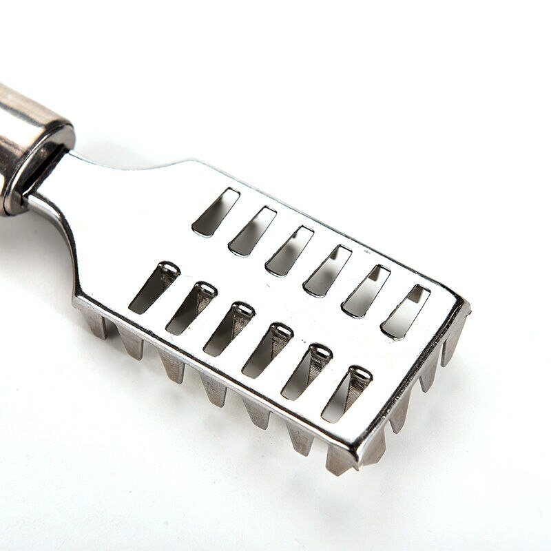 Escarificador de pescado de acero inoxidable, utensilios de cocina para el hogar, limpiador de piel de pescado, escarificador de pescado