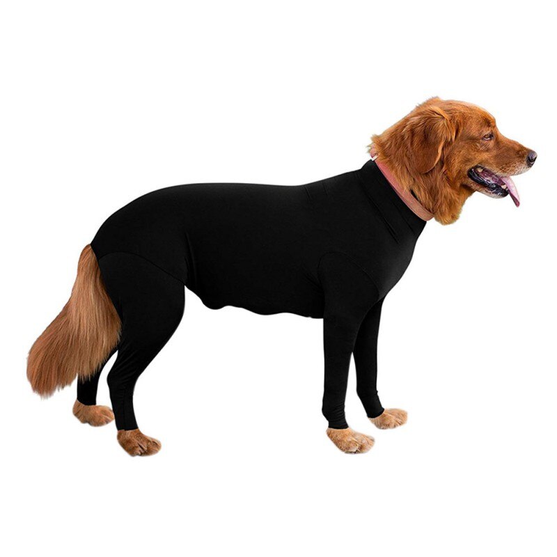 Combinaison de body à manches longues de Protection Post-opératoire pour chiens, Alternative de collier E pour combinaison de chien de récupération: B / XL