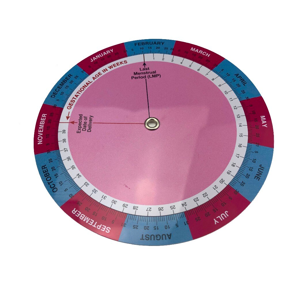 Calculadora de gestación para bebé, goniómetro de rueda de embarazo, regla de Fecha de nacimiento esperada, 10 unids/lote