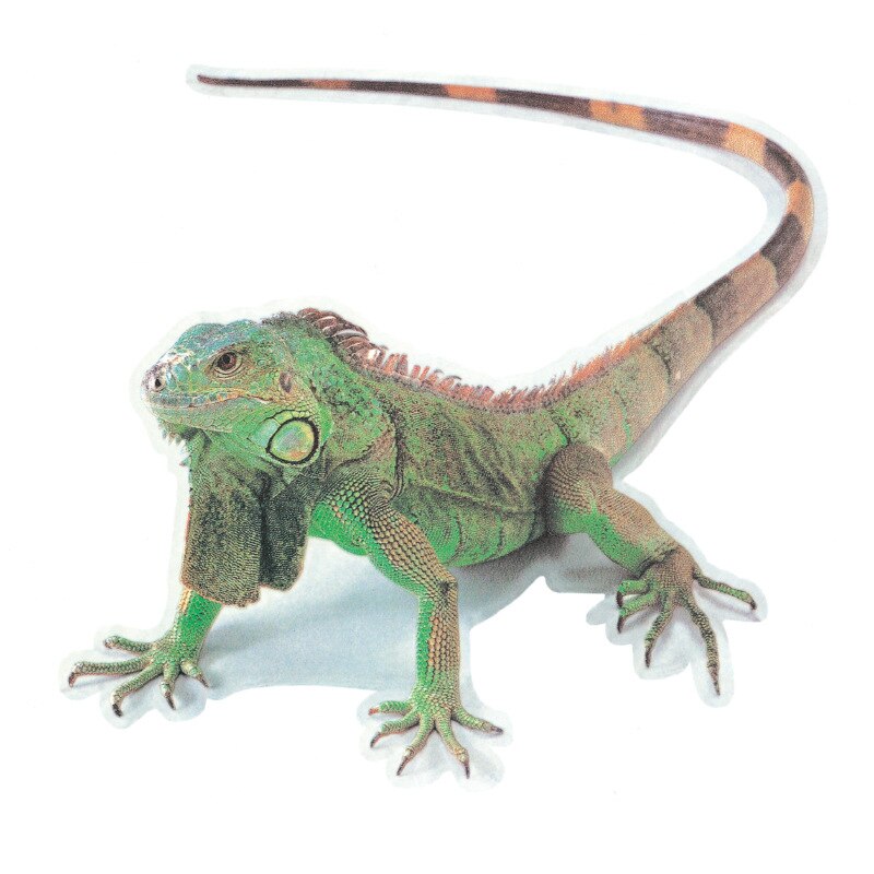 3D Cool autocollant mural animaux araignée Gecko Scorpions vinyle autocollant mural pour les voitures à la maison Auto moto couverture rayures décor