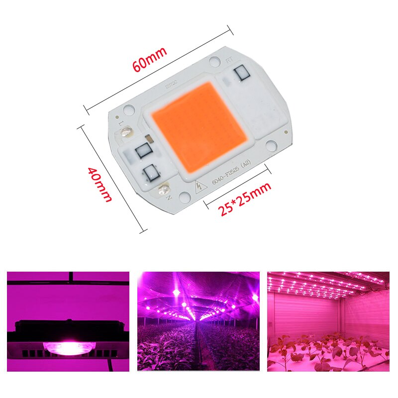 AC110V 220V Cob Led Chip Phyto Lamp Volledige Spectrum 20W 30W 50W Led Diode Kweeklampen fitolampy Voor Zaailingen Indoor