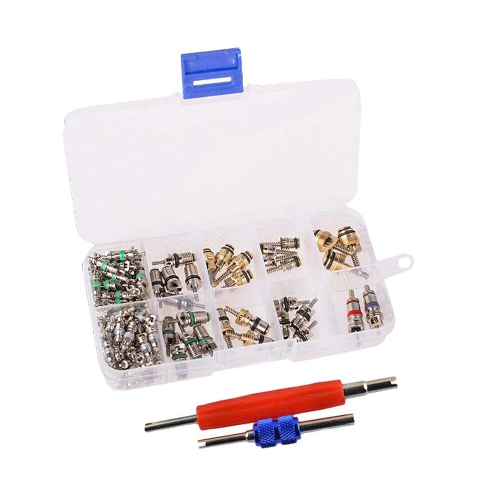 Car Air Conditioning Core Valves 102PcsR12 R134A Automotive A/C Valve Stem Cores w/Removal Tool for Car Air Contitionaing Repair