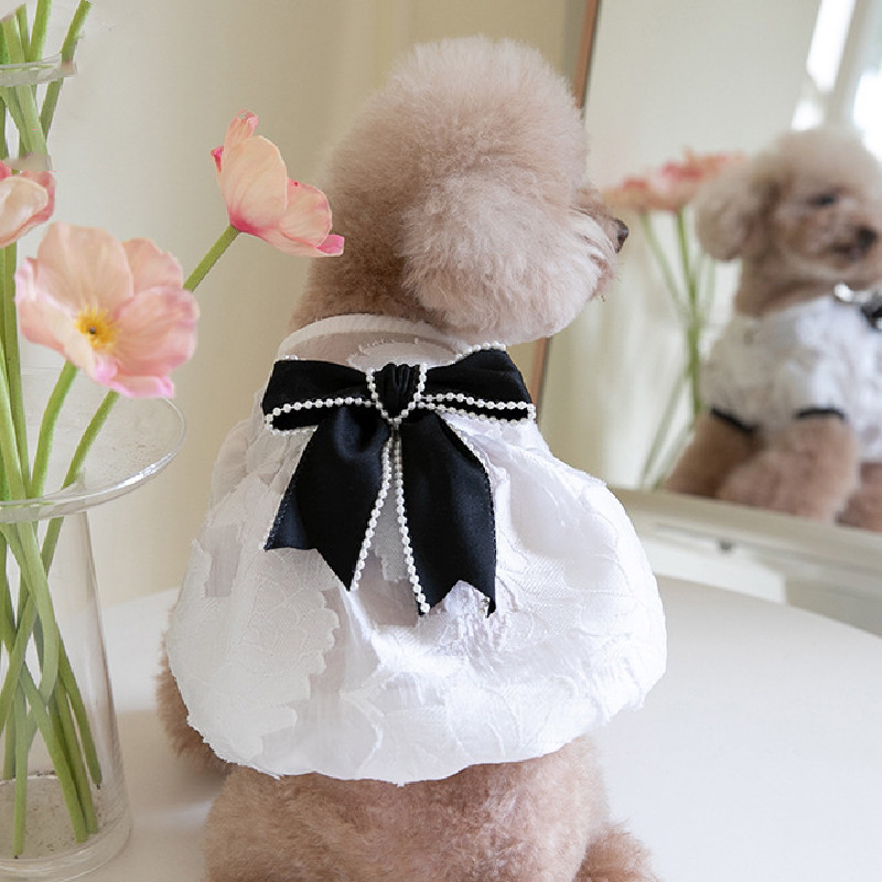 Summer Dog Dress Cat Puppy Dresses Cute Blwknot Pearl Dog Skirt Chihuahua Yorkie Pomeranian Bichon Poodle Pet Costume Apparel XS: S