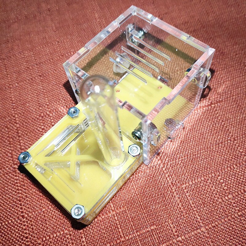 Mini Queen Ant Nest Ant Workshop Acrylic Farm Small Plane Nest Ant Accessories: Color-02
