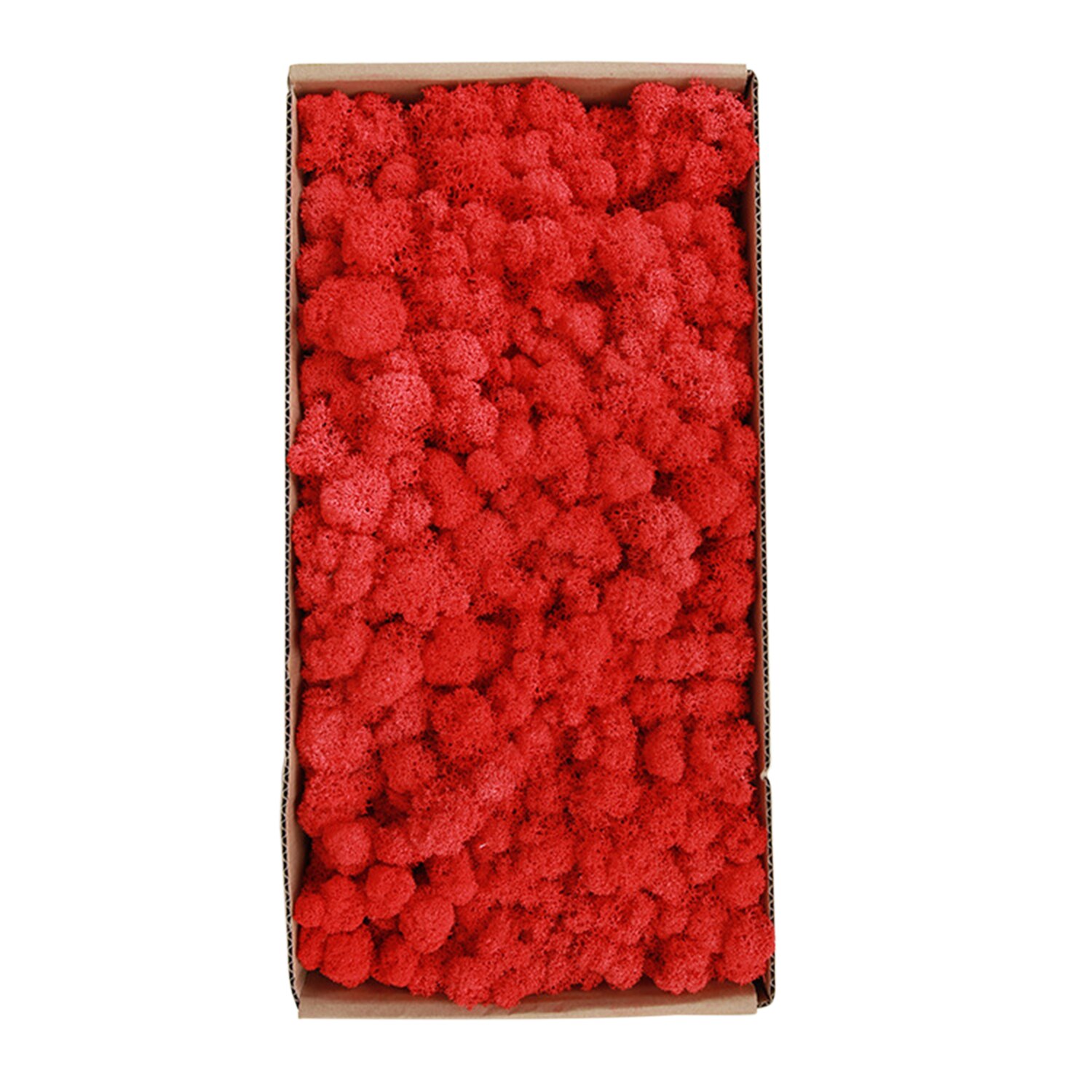 Preserved Moss Wall Decor Real Preserved Moss No Maintenance Required Naturally Preserved Moss Home Wall Party Festivals Crafts