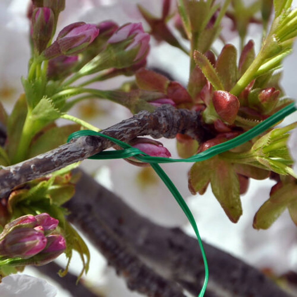 800pc plant snoddar robust grön belagd tråd för trädgårdsarbete återanvändbar kabel växt buntband växt vinstock tomat stamklämma