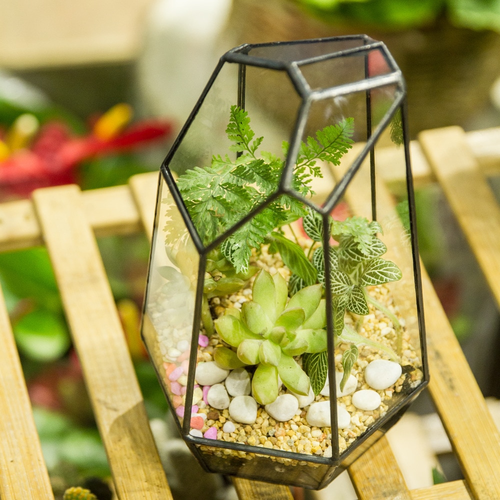 Glas terrarium planter have bordplade miniature uregelmæssig geometrisk glas blomsterpotte til sukkulenter mos bregner plante terrarium