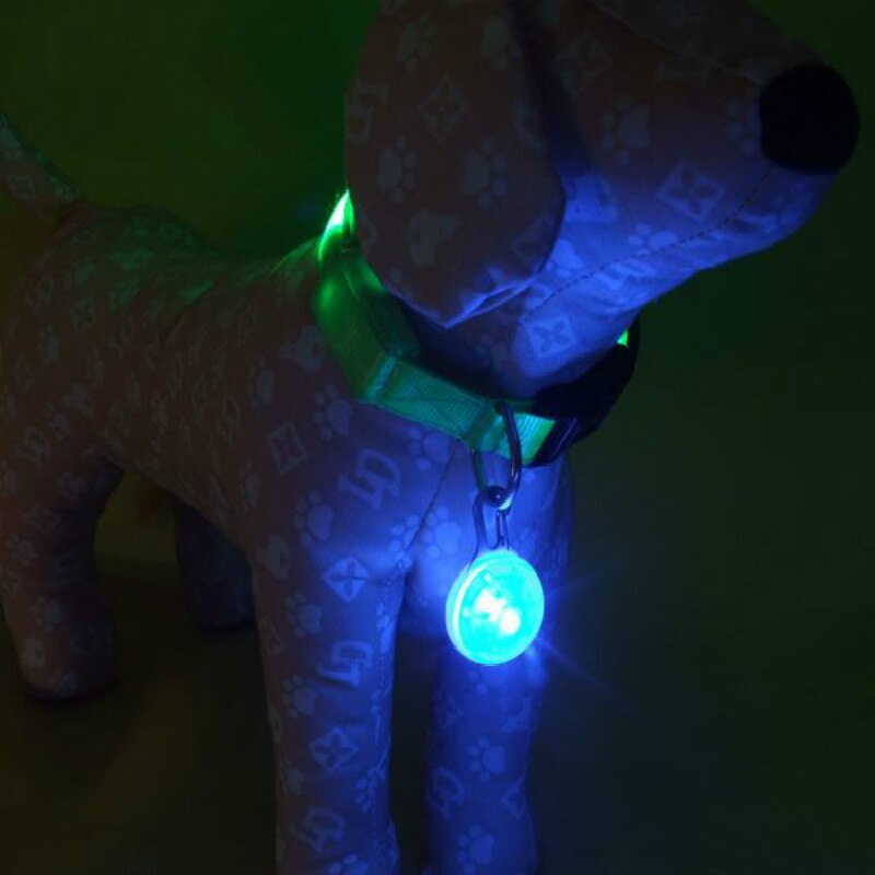Collar con colgante LED para mascotas, luz nocturna, luminoso de seguridad, suministros para mascotas, accesorios para perros, 1 Uds.